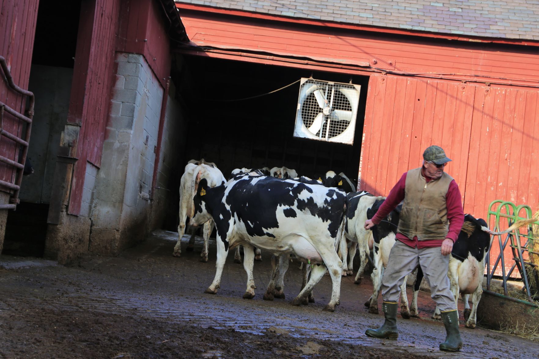 Selling the farm